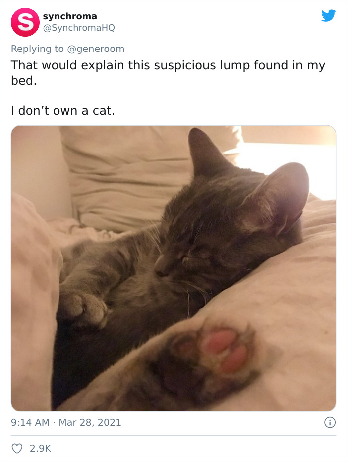 My-Home-Not-My-Cat-Pics