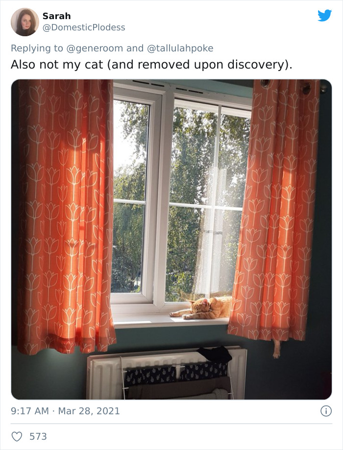 My-Home-Not-My-Cat-Pics