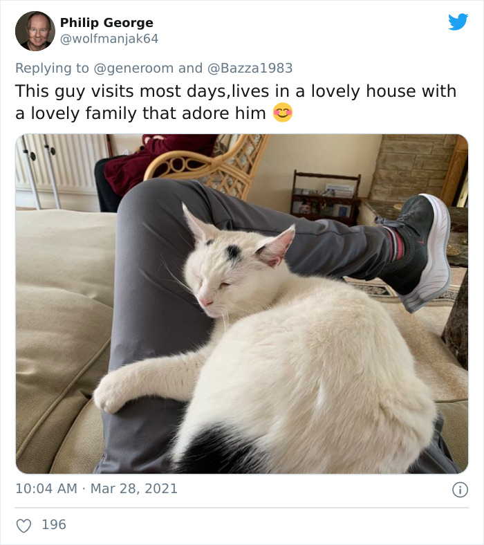 My-Home-Not-My-Cat-Pics