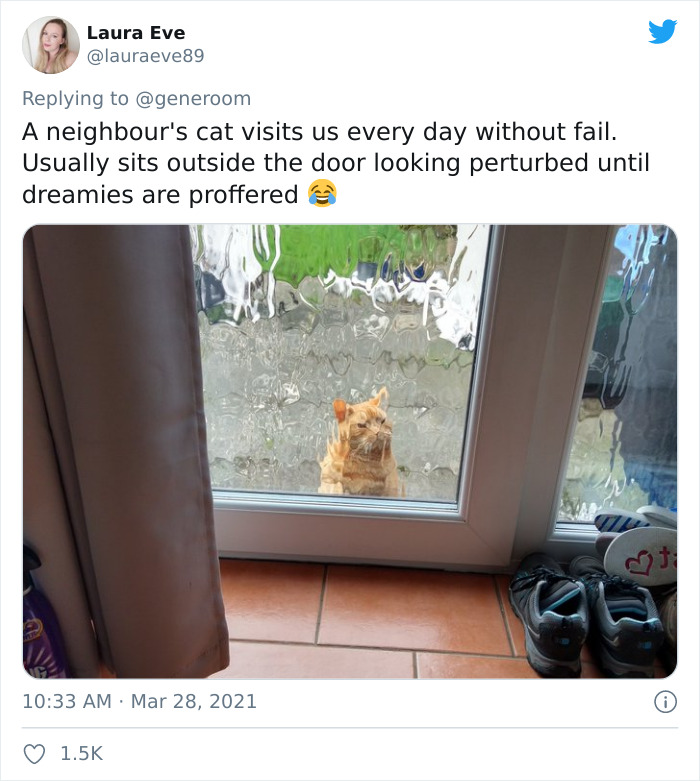 My-Home-Not-My-Cat-Pics