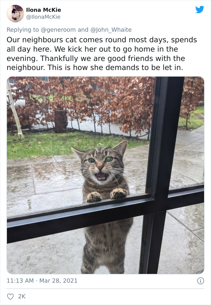 My-Home-Not-My-Cat-Pics