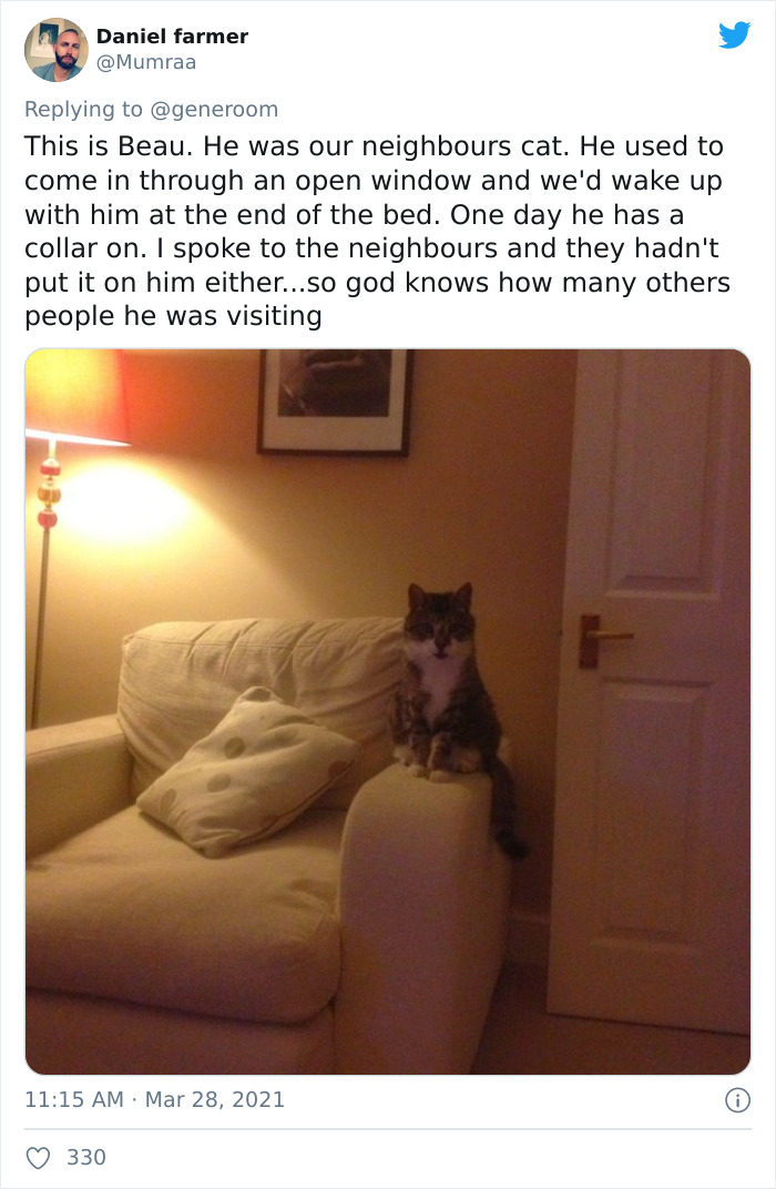 My-Home-Not-My-Cat-Pics