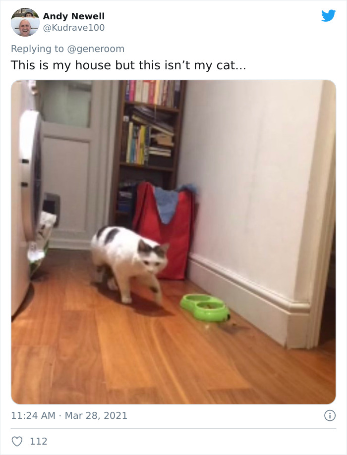 My-Home-Not-My-Cat-Pics