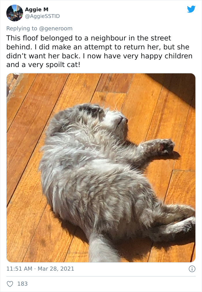 My-Home-Not-My-Cat-Pics