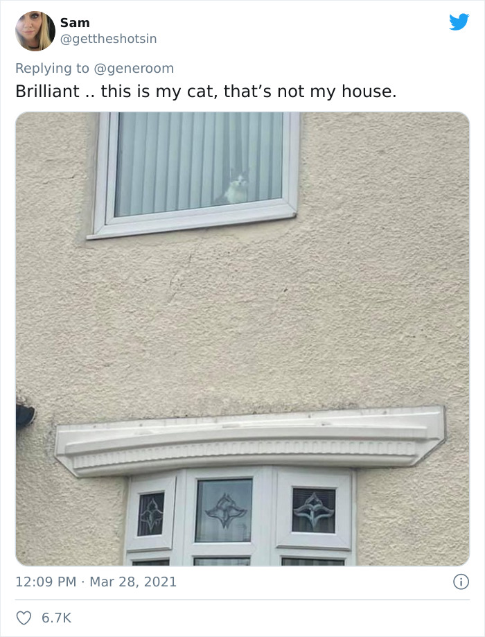 My-Home-Not-My-Cat-Pics