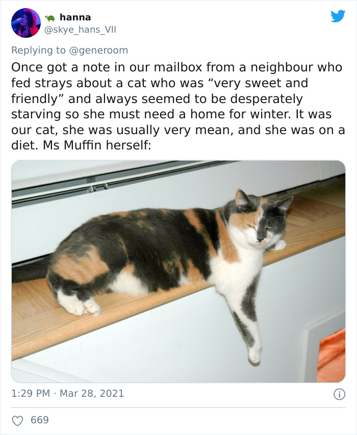 My-Home-Not-My-Cat-Pics