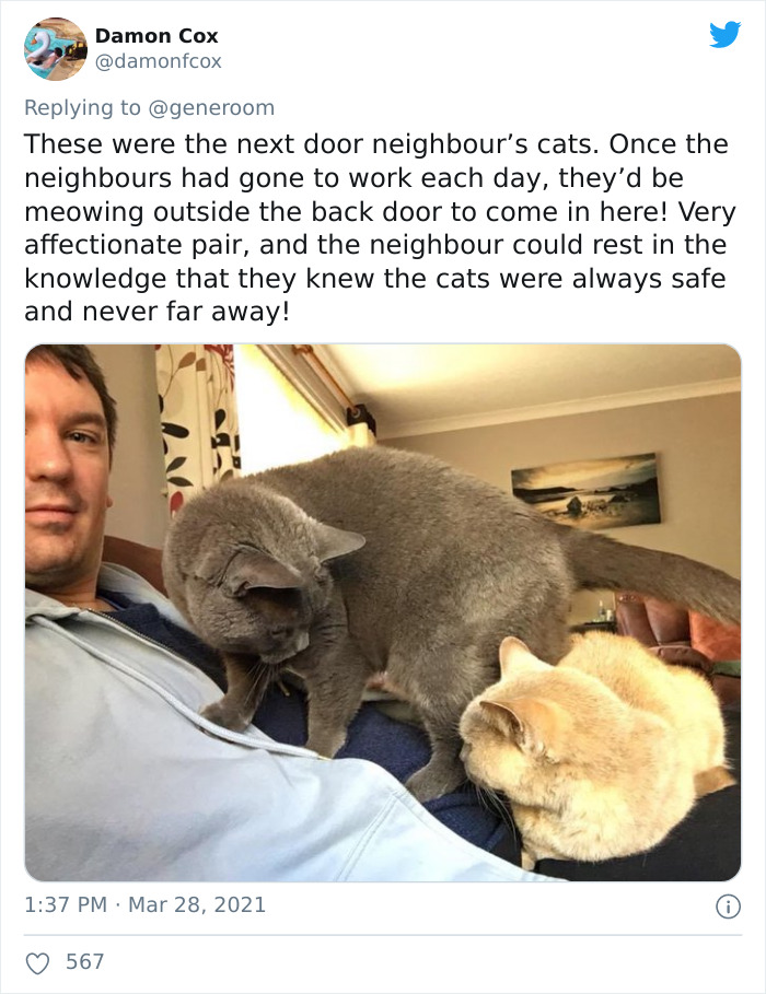 My-Home-Not-My-Cat-Pics