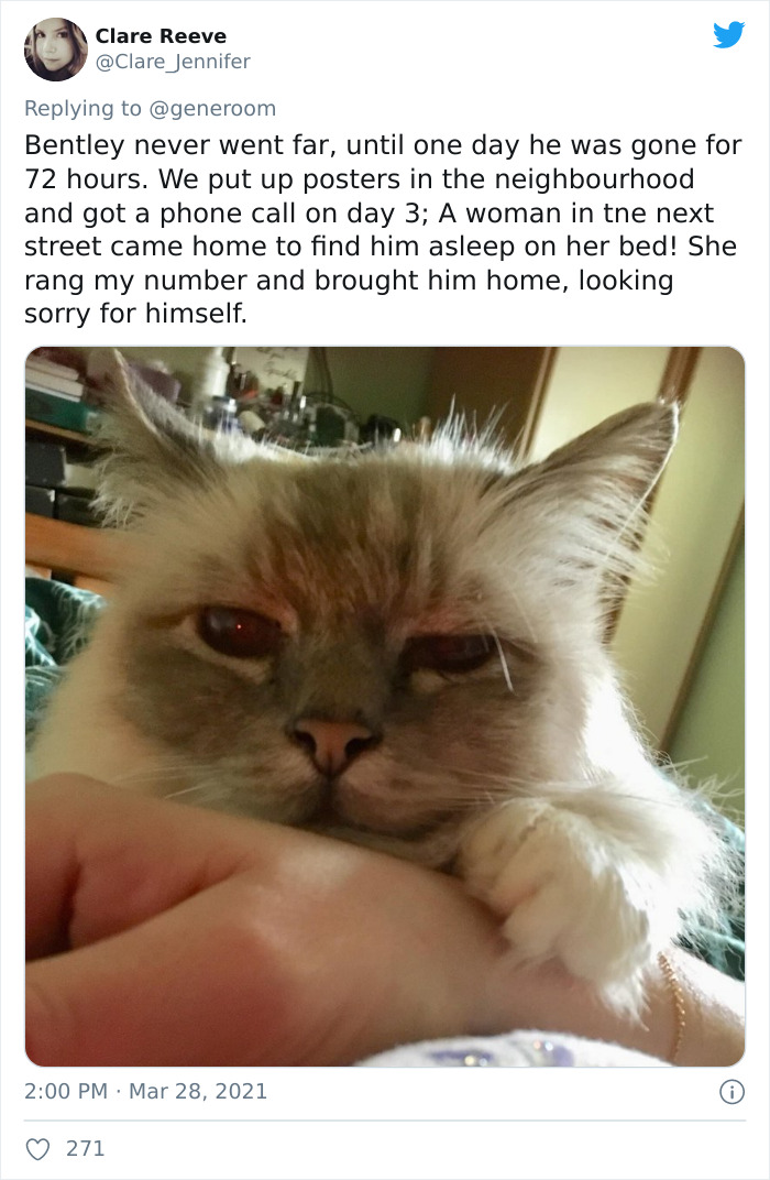 My-Home-Not-My-Cat-Pics