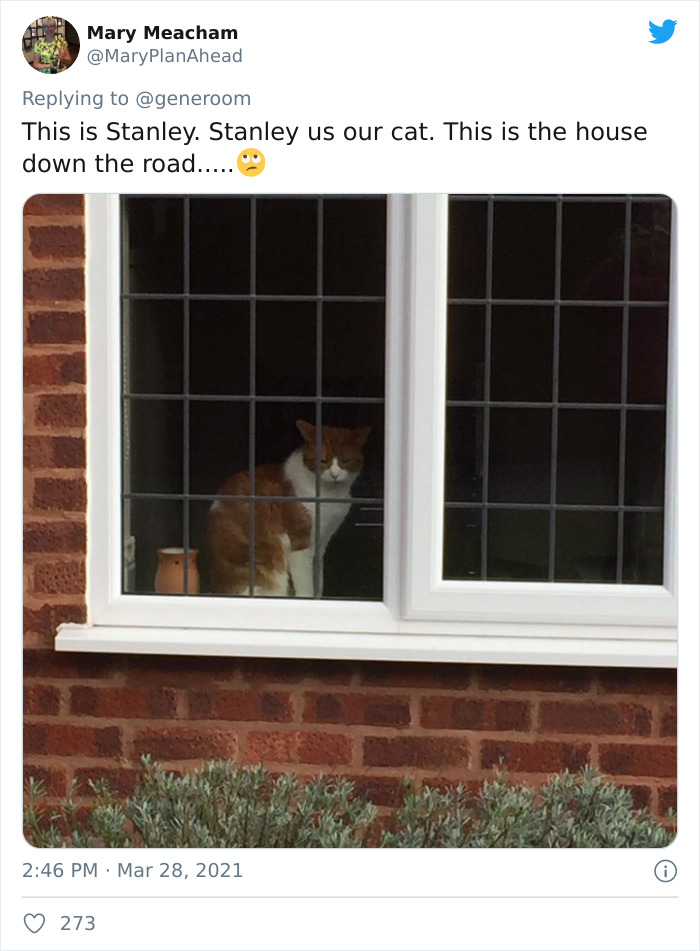 My-Home-Not-My-Cat-Pics