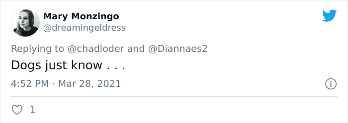 'He Did What He Was Taught': Police Dog Bites A Cop Who Brutalized A Protestor