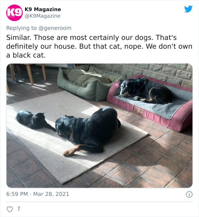 My-Home-Not-My-Cat-Pics