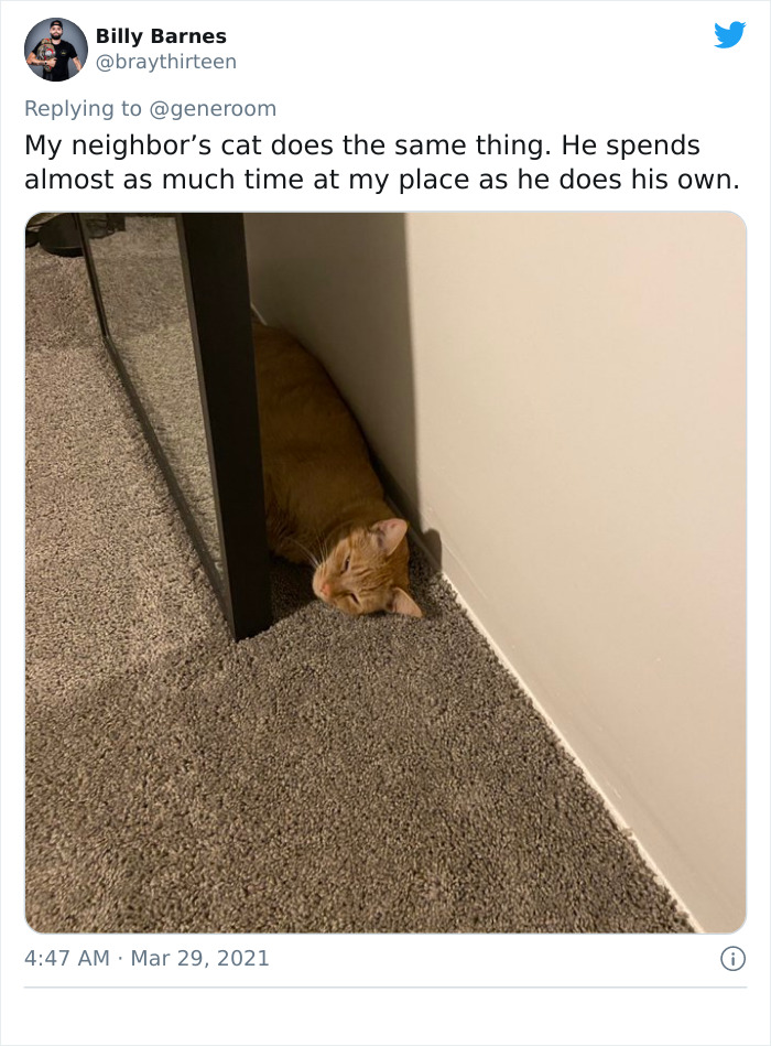 My-Home-Not-My-Cat-Pics