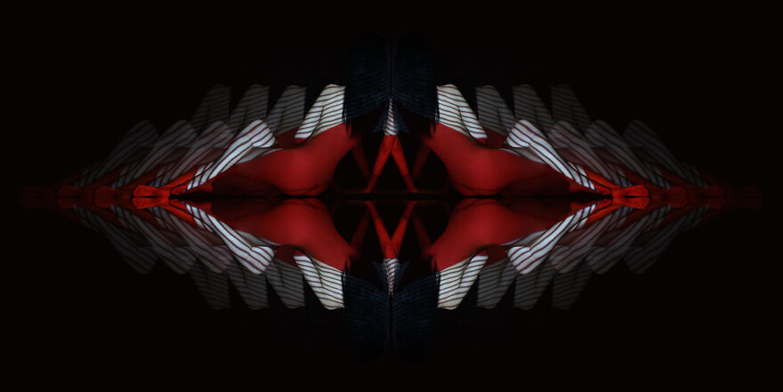 Flower Of Life Flower Of Life