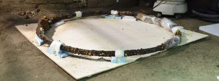 A Perfectly Preserved Roman Ceremonial Carriage That Got Buried In A Volcanic Eruption 2000 Years Ago Gets Discovered By Archaeologists In Italy A Perfectly Preserved Roman Ceremonial Carriage That Got Buried In A Volcanic Eruption 2000 Years Ago Gets Discovered By Archaeologists In Italy