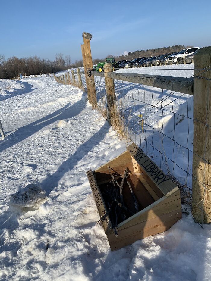 Dad And His 10-Year-Old Son Use Their Time In Quarantine To Build A 'Stick Library' For Local Dogs Dad And His 10-Year-Old Son Use Their Time In Quarantine To Build A 'Stick Library' For Local Dogs