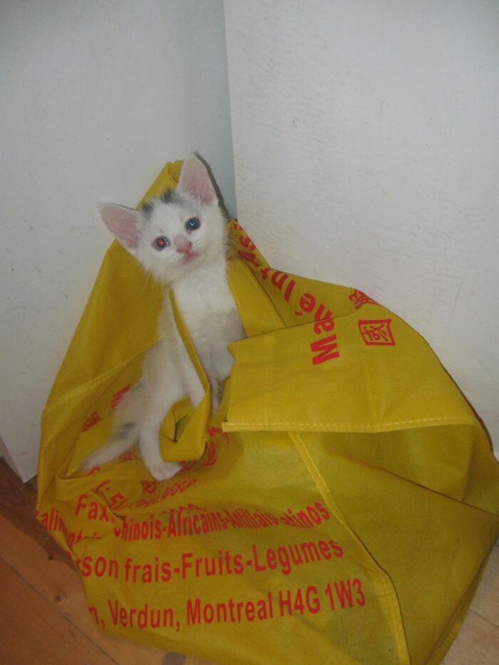 Sheldon (One Of My Fav Pics Of My Little Man) 2016