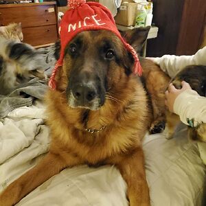 wendylynnflowers avatar