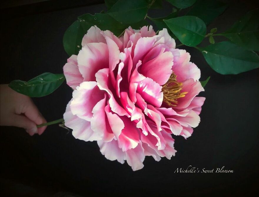 Artist Makes Amazing Realistic Sugar Flowers That Are Hard To Believe Are Not Real