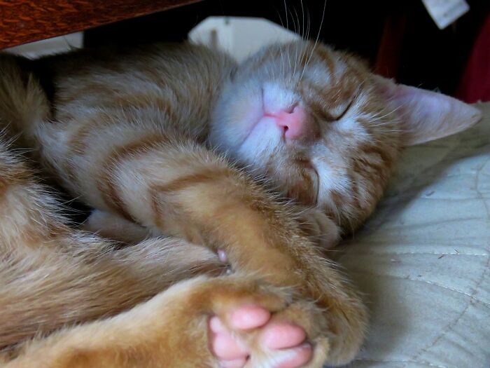 Sleepy Baby Milenko 🥰