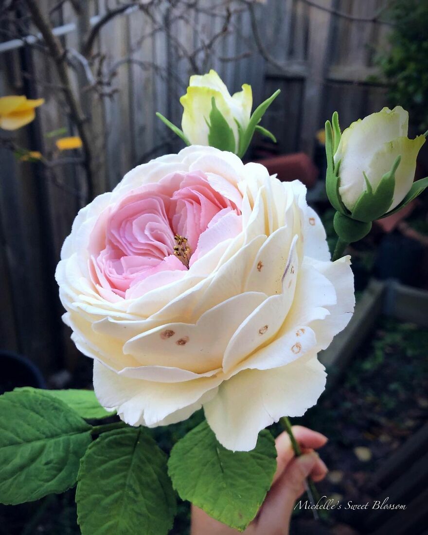 Artist Makes Amazing Realistic Sugar Flowers That Are Hard To Believe Are Not Real