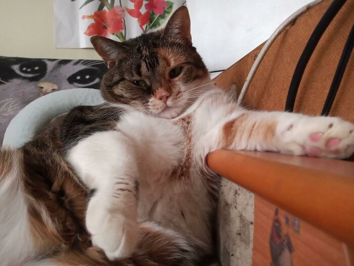 What Can I Say, It Was A Tough Monday...