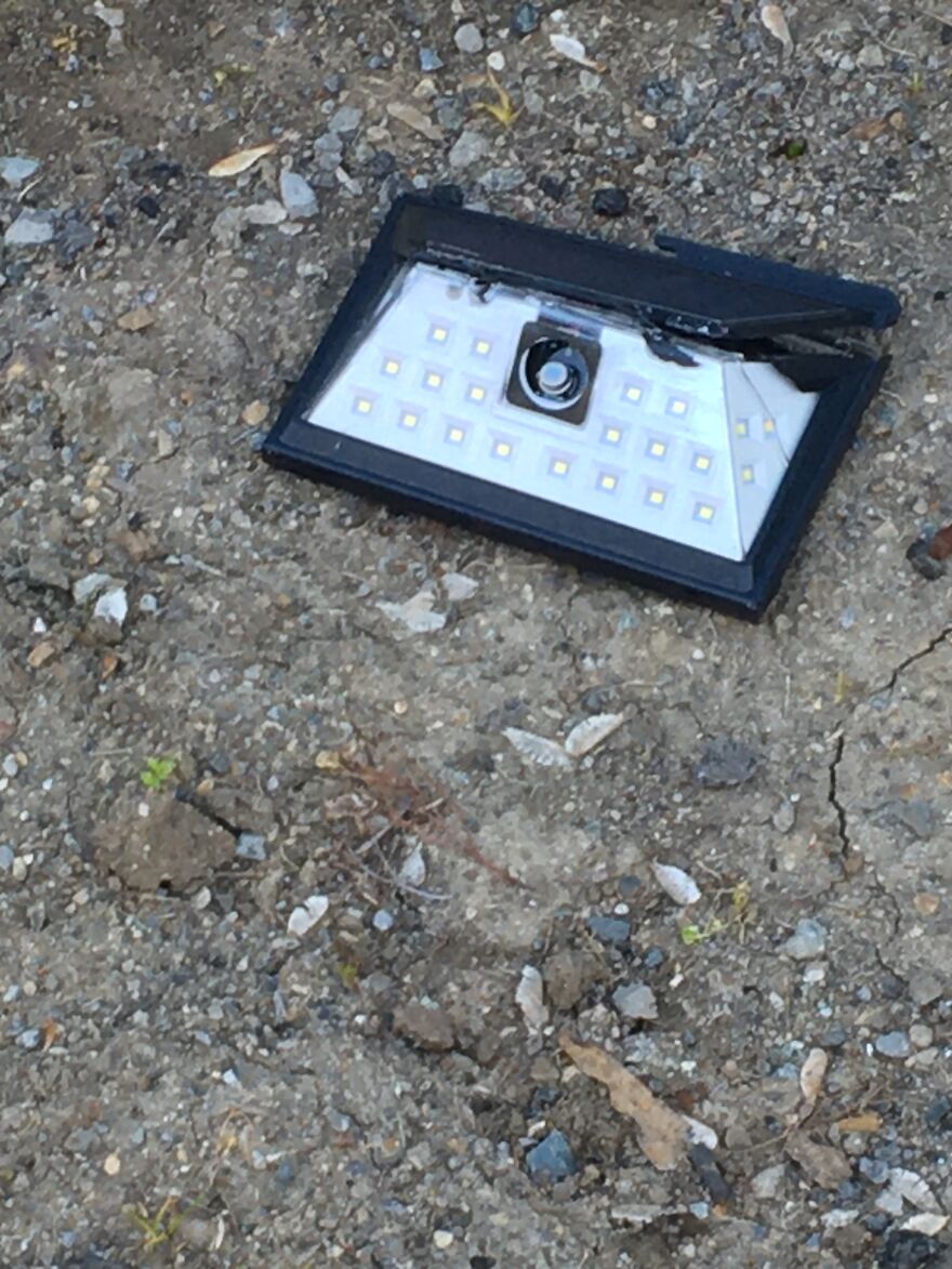 10 Weird And Cool Things I Saw On A Walk