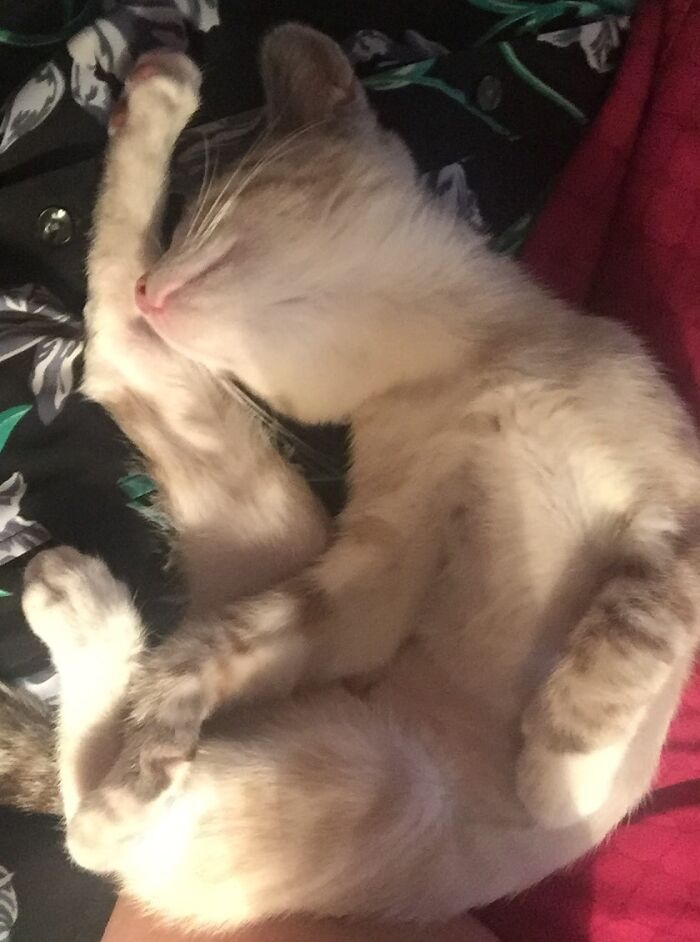 Assembly Directions Were Unclear, Apparently.