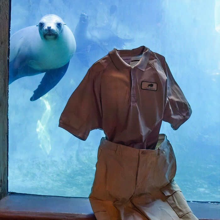 Frozen-Pants-Online-Trend-Winter-Cold-Weather