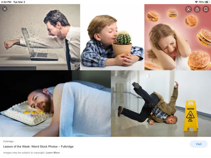 I Couldn’t Choose A Favorite