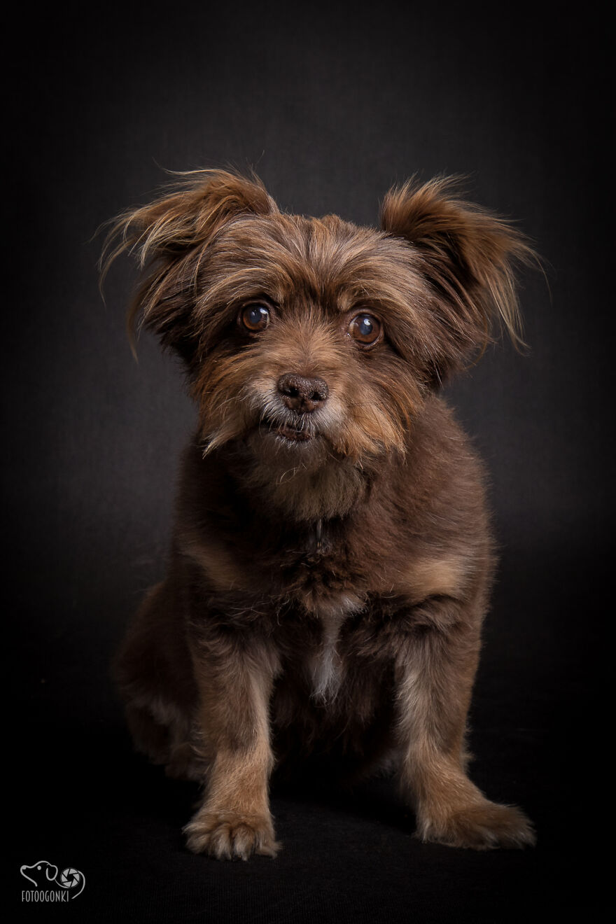 We Invited The Most Unique Models To Our Animal Photography Studio (19 Pics)