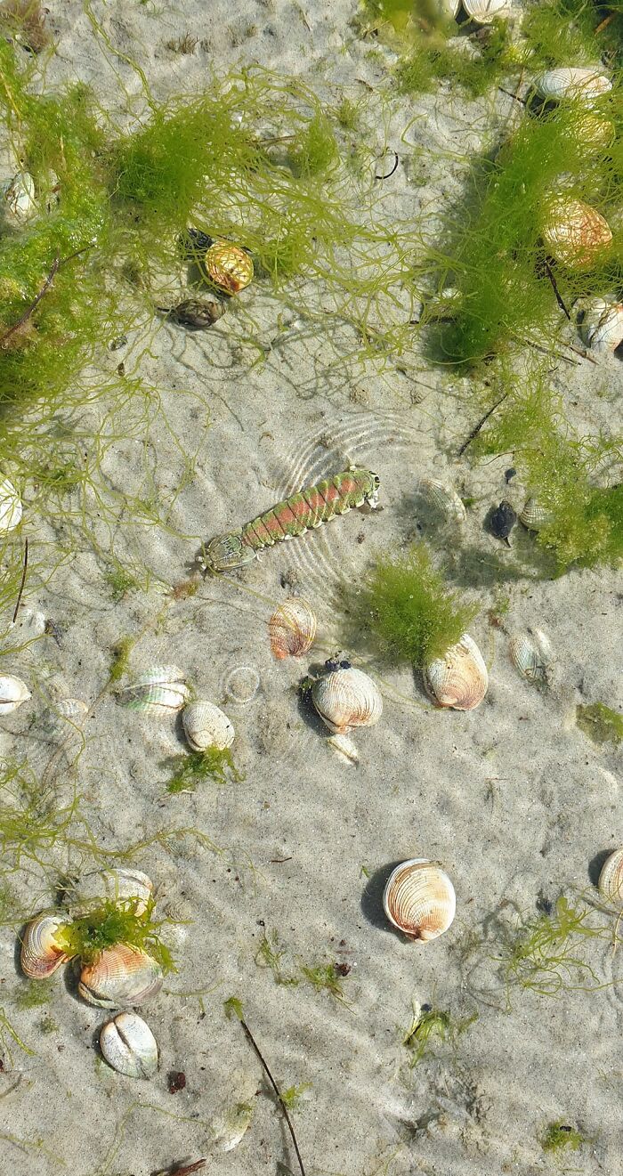 Shall We Play A Little Game Of.... What Just Touched My Foot?