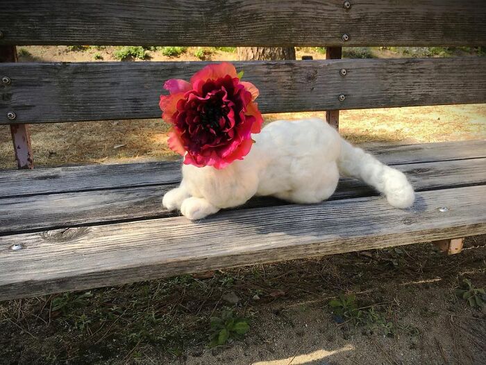 Japanese-Artist-Weird-Felted-Cats-Technology-Sacocho