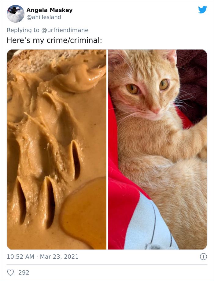 Crime-Criminal-Pets-Crimescene