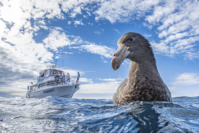 People And Nature, Silver: Naomi Rose, Australia