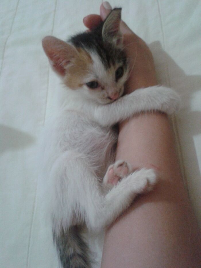 Lily Was Abused From The First Days Of Her Life! This Is Her The First Time After Her Rescue Still Afraid Of Almost Everything