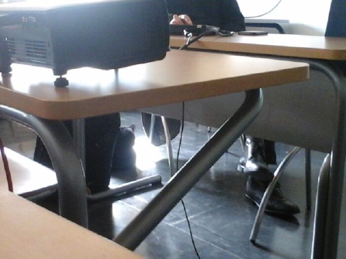 University Is Boring But At Least The Professor Don't Steal My Sun