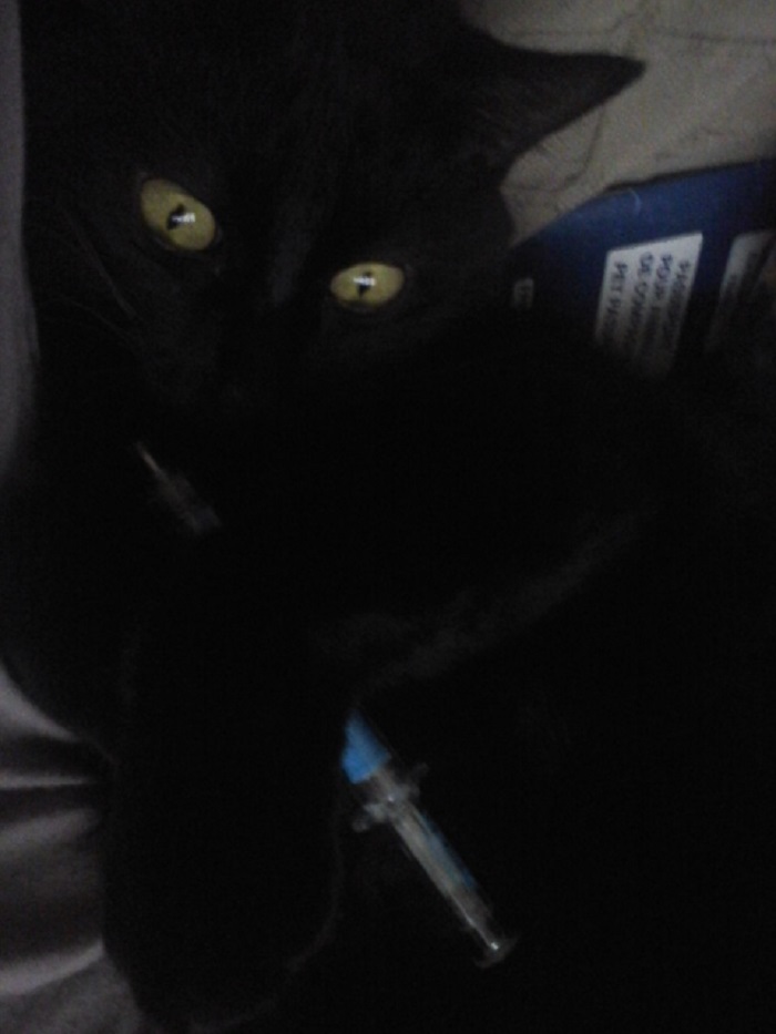 Caddicted. It's Just A Unicef Pen...