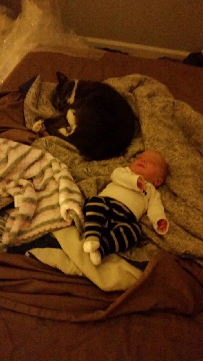 After A Hard Day Of Supervising The Cable Box Set Up A Nap Is In Order.