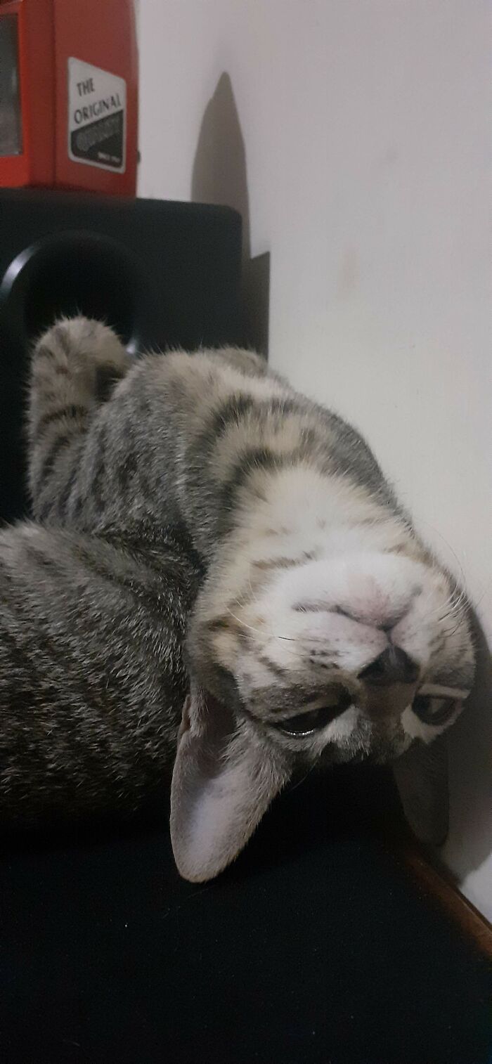 He Was Tired Of Not Getting Attention