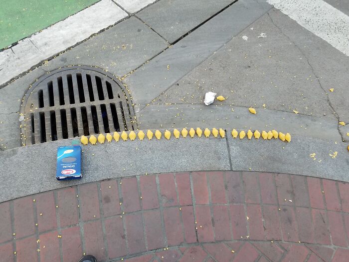 It's All About The Presentation...