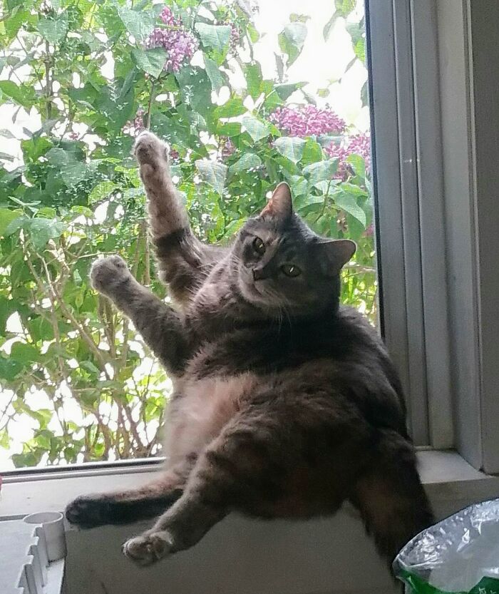 Screen? What Screen?