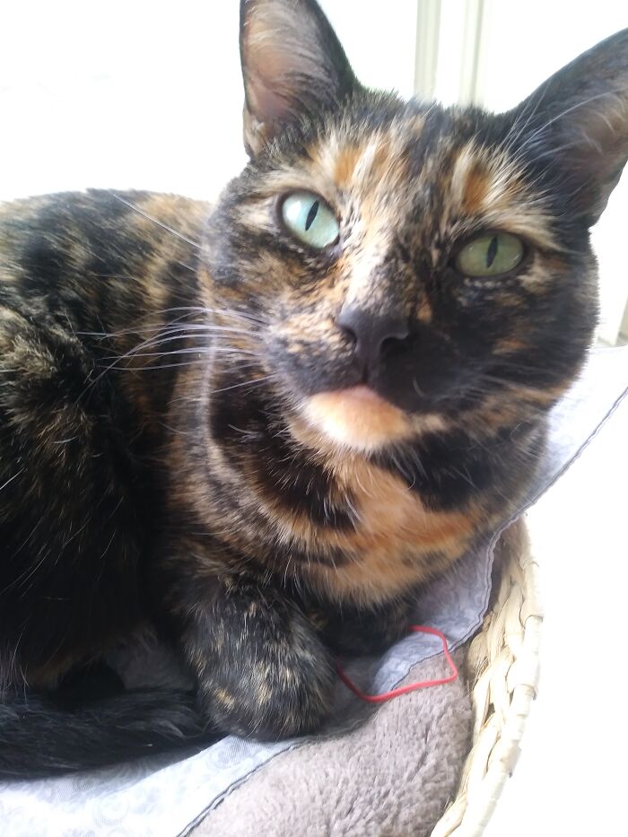 What're You Looking At?!