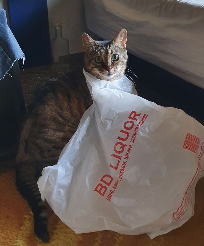 Going For Some Drinks