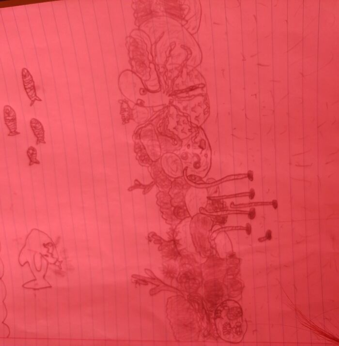 Sorry For The Bad Photo Quality. It's A Sea-Scape