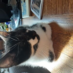 mollymc-mollyface avatar