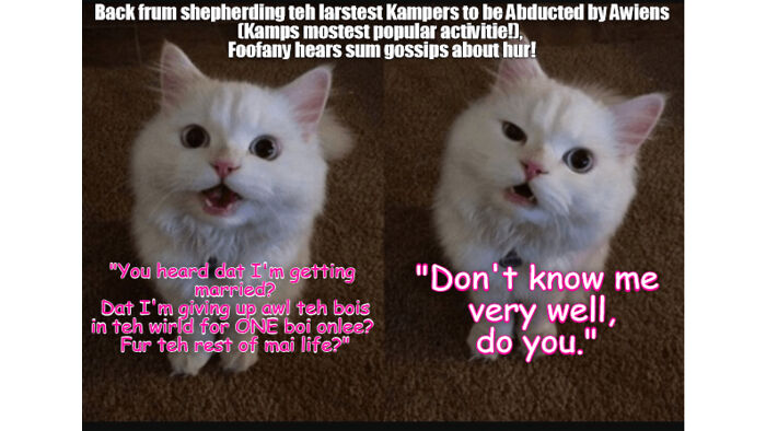 Ooops! Image Width Has To Be At Least 70000 Px.