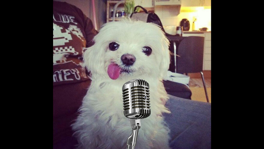 Please Remember To Like And Subscribe For More Videos, And, Uh, A Lot Of People Have Been Asking...