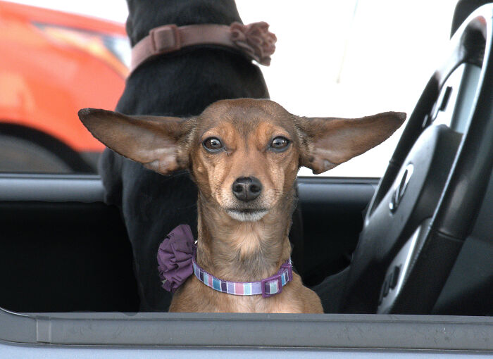 Parking Lot Of Liquor Store In Carlyle Illinois