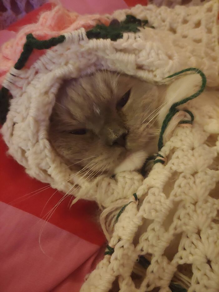 All His Moments Are Cute But This One Especially.