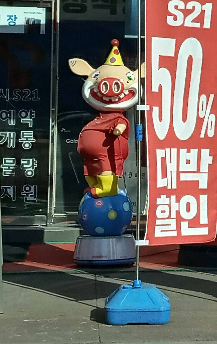 You Never Know What You Come Across In Korea...